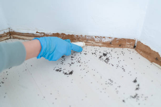 Best Pest Control Treatment  in USA